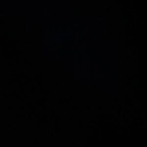 Meet your Posher, Max